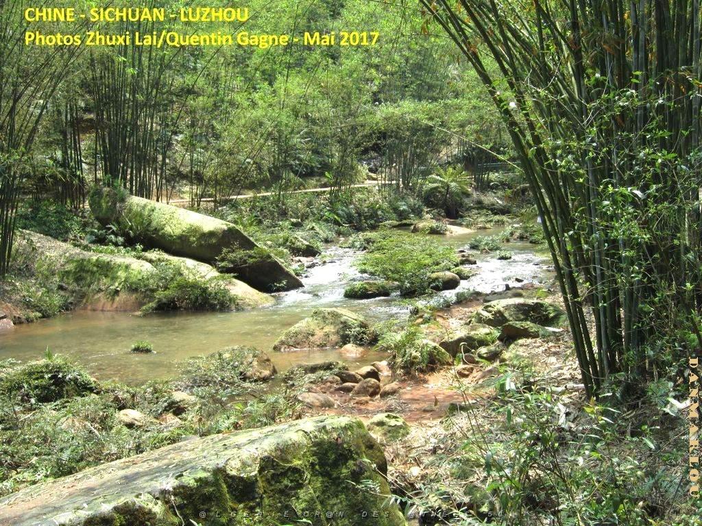 Luzhou 075.JPG